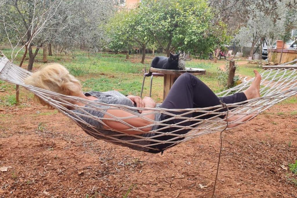 Tatil Evi Gizli Bir Cennet *