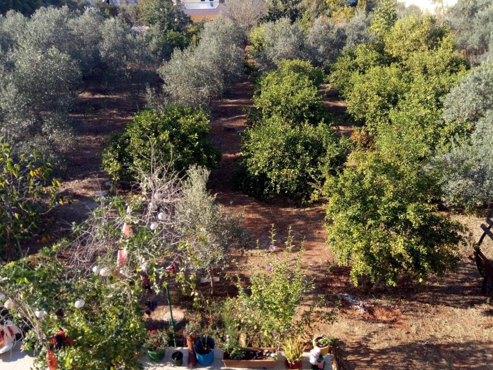 Ferienhaus Gizli Bir Cennet *